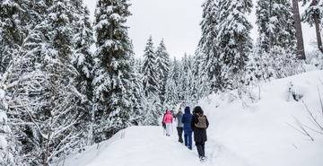 SENTIER HIVER « Forêt du Fontany »