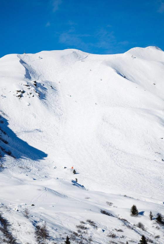 La Face black run - Winter - Ski - Méribel