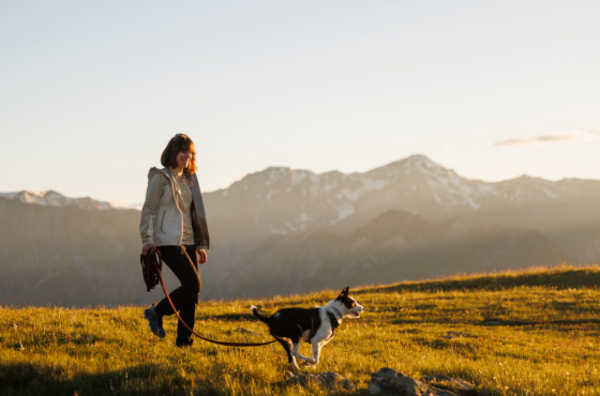 Randonnée avec chien en Savoie